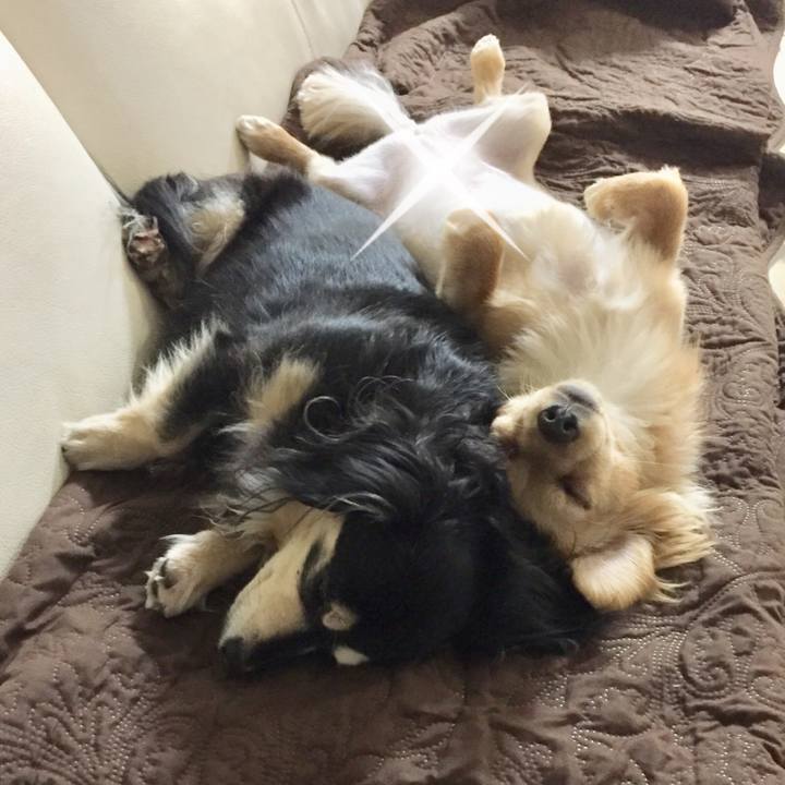 59a515ab f8e1 4e68 8510 2dabe60d2a61 1522581378953