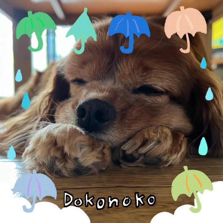 59a526bb 54ab 4903 9af1 4482f691f64f 1717850886222