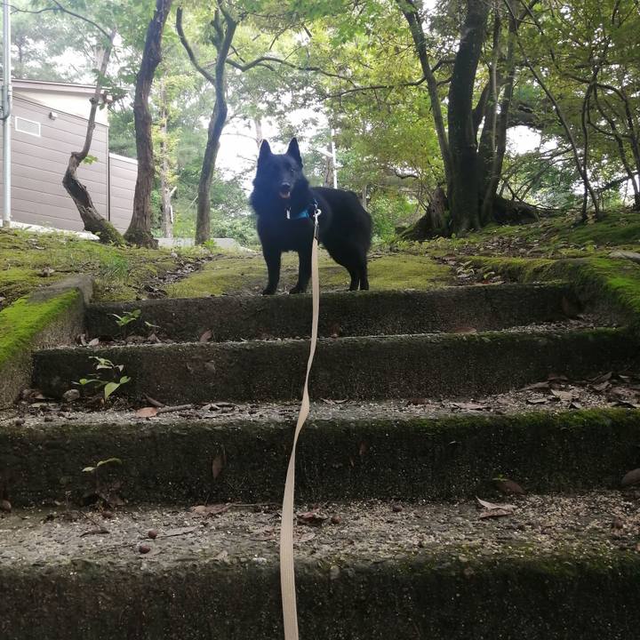 59a58761 fca9 4596 a427 aadc911bc29d 1625955031952