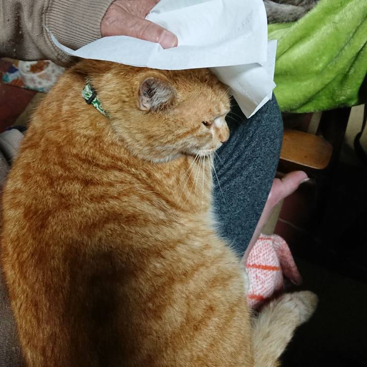 59a5c25b acce 4906 866a b295df993a60 1583928267829