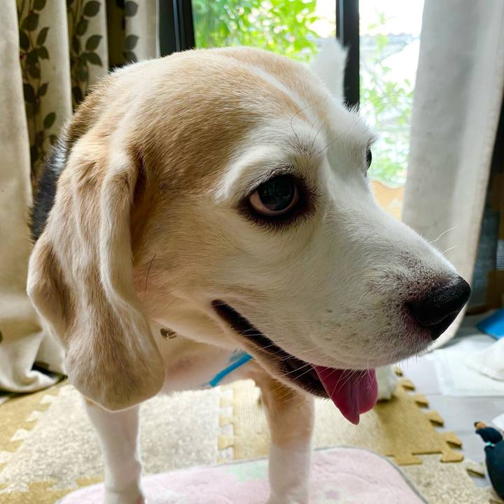 59a5c622 996b 42c7 94c2 4b20e5ee28fc 1631590967640