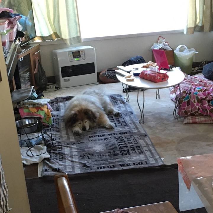 59a5d248 d9f9 47f9 9c99 da1b1e29d5b5 1569824697014