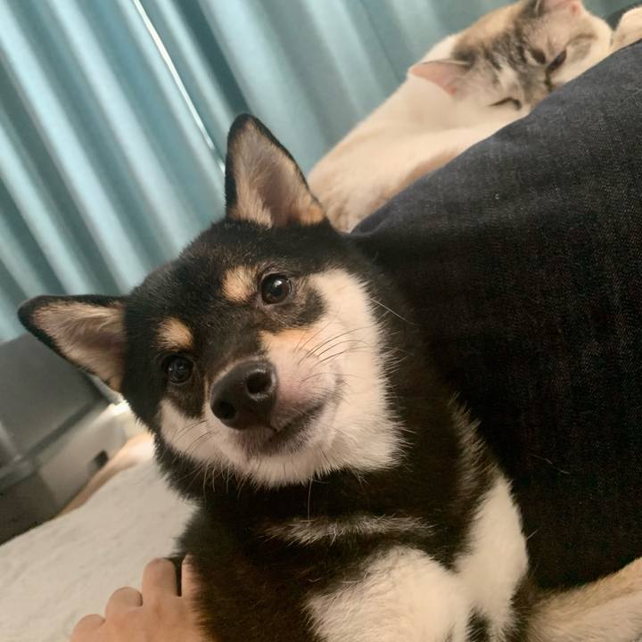 59a5e2e9 e07d 4634 a66f 12a2a380fdc7 1661419390307