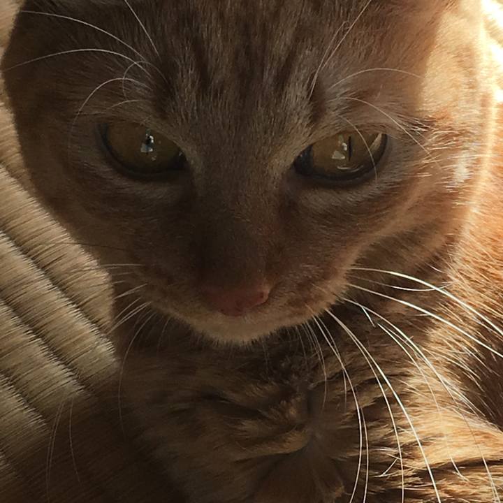 59a5f976 509e 44ea 87d0 1dcbaa7ee0fb 1512178743112