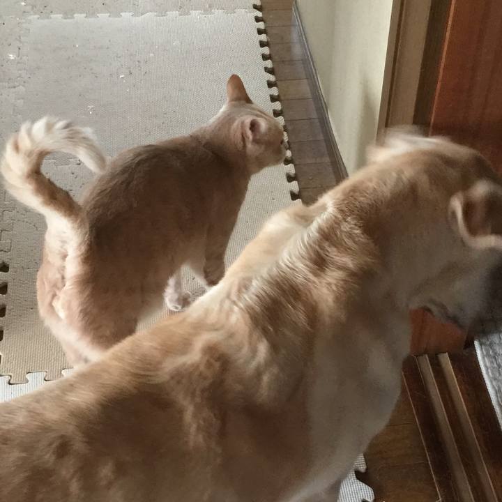 59a6094b 345a 4ae6 87da c82e33b3bbf4 1535860233629