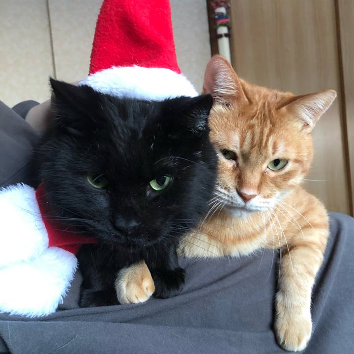 59a62039 8c3f 40d4 b74a e442efcb586d 1640415510218