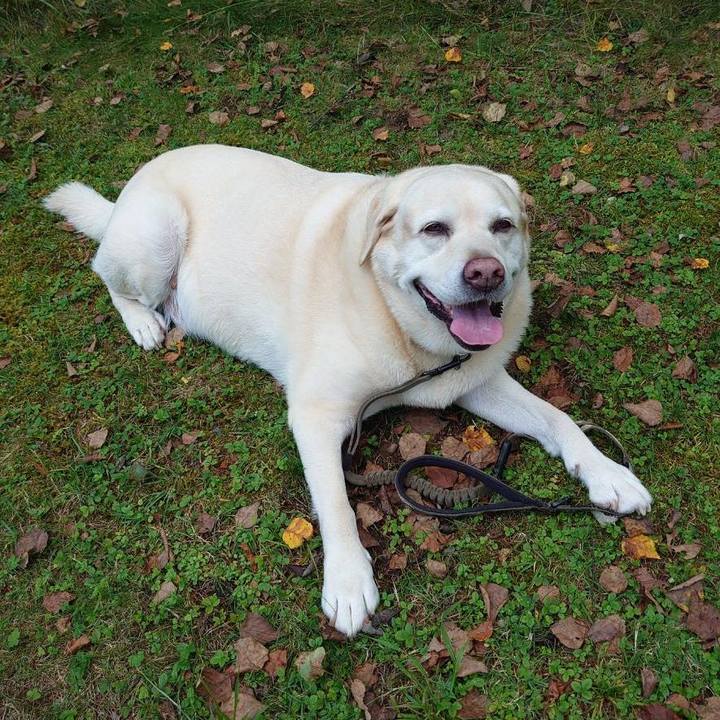 59a634c4 5ecf 4cb8 901d b7891fb1ce3f 1758105556431