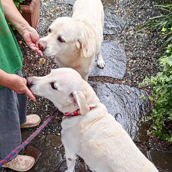 59a6574b a12c 4288 a1ac a7129a616f04 1759283961757