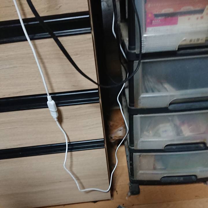 59a68445 48e4 4d7f b08a 8653de56d8b5 1627780521671