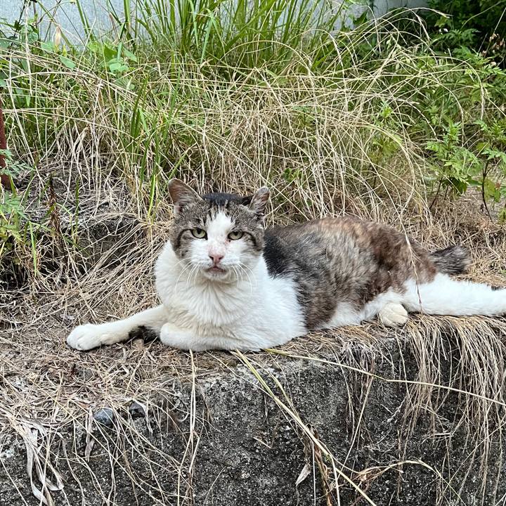 59a6862d 666f 4403 81e8 e27870f3cdfd 1691797423022