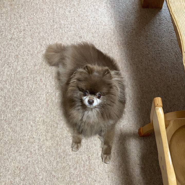 59a6c88e a5b7 4ae8 b947 15dba4970f79 1690495438669