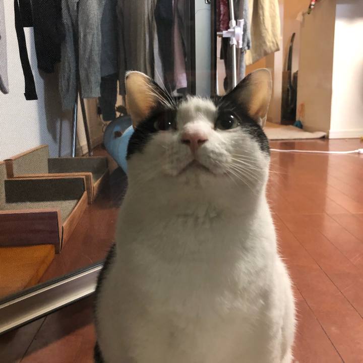 59a6f56d 40c5 44cc 9d4c 4fb8d544ee3b 1551536611423