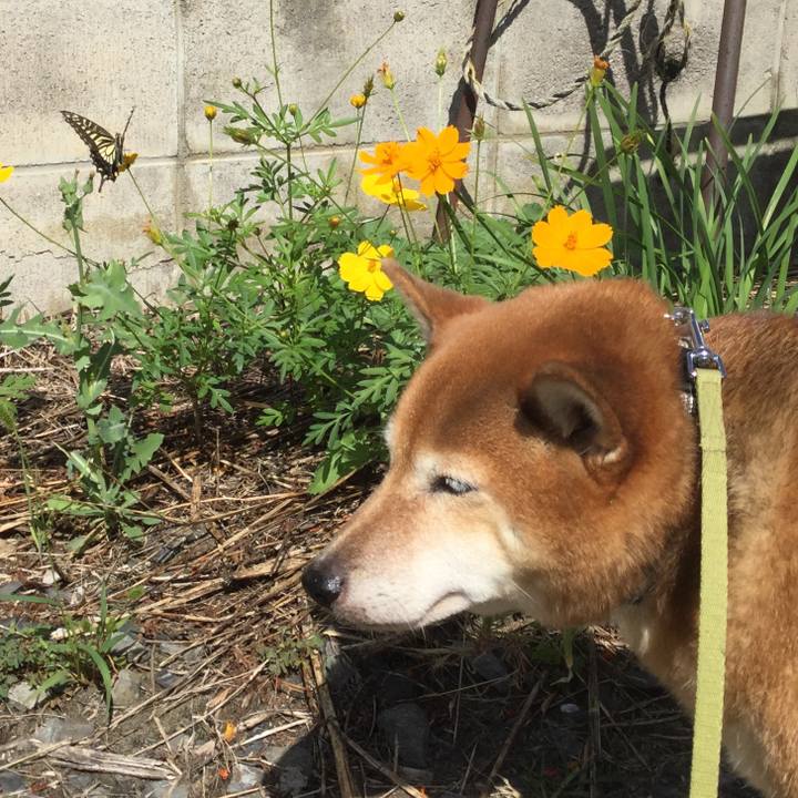 59a7756b cd41 4c94 8376 e3aaa19c52cb 1570680787575