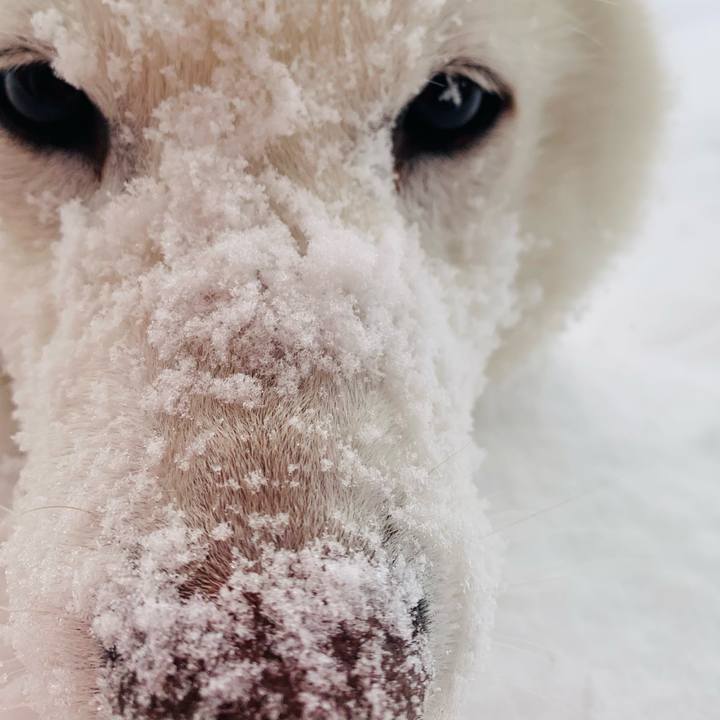 59a7822a 3468 42c3 b271 e1151b6e3ecf 1643507138997