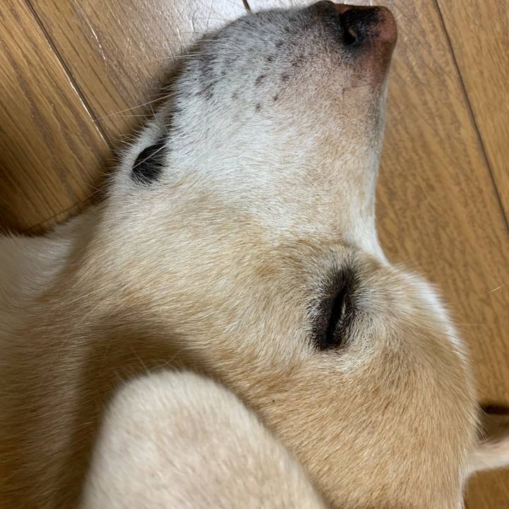 59a787d5 4bff 496e 8c68 11206acc622b 1600085856895