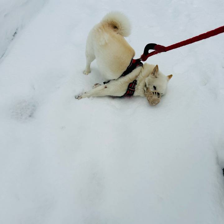 59a795ff ae13 4f8b 9a33 193ebac8e074 1704237710946