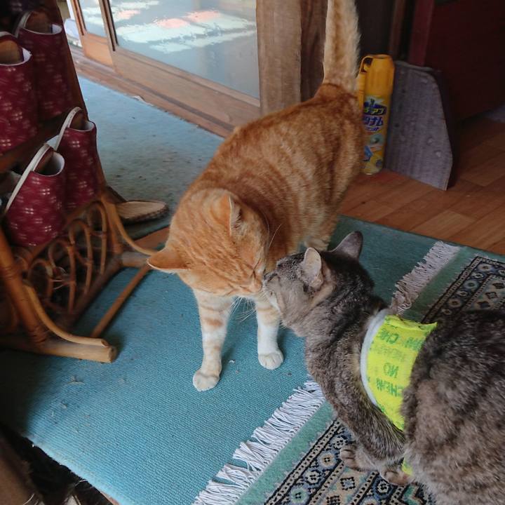 59a7b8cf 9b50 48e1 a714 4ab88e3383e0 1586398786908