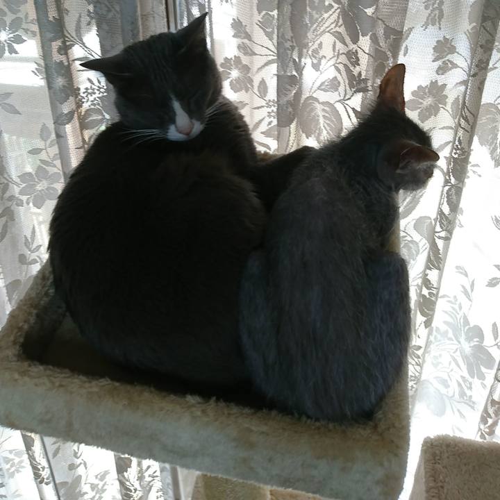 59a7d684 38fa 4c72 ad27 7507edcdd22e 1515557604873