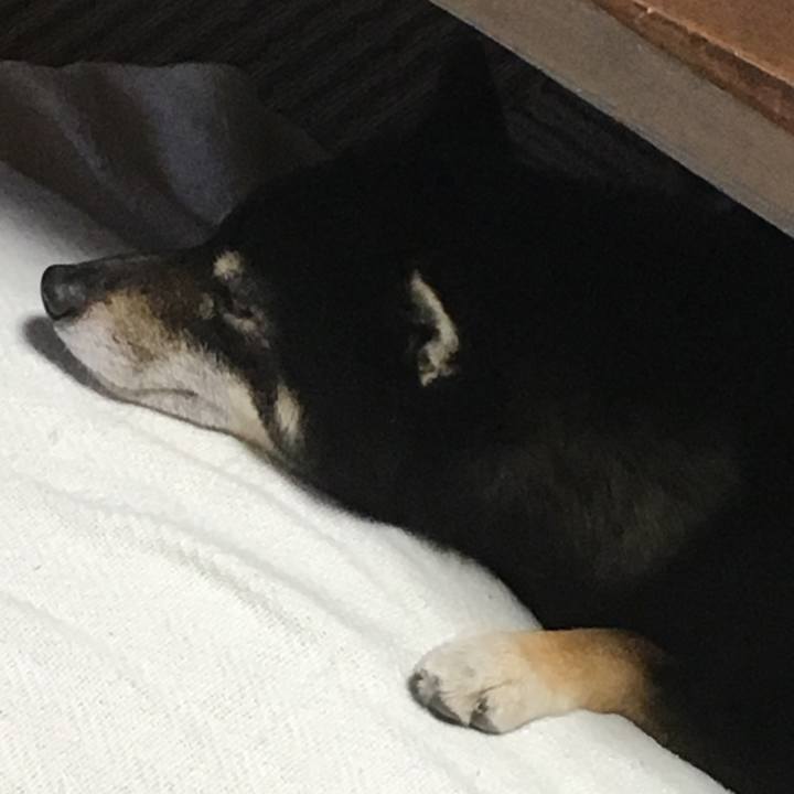 59a7e43b 5520 4b4a bef6 0b00440c6ccf 1511484615199