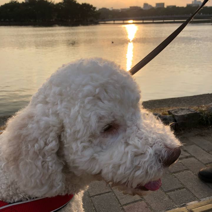 59a7f2a6 ff52 4f43 8303 88e0b6510c0f 1583481712708