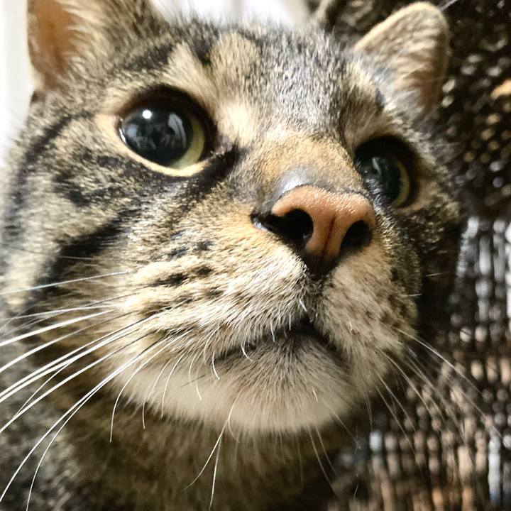 59a82f60 b8d6 497a 9af0 362dda825404 1683967388174