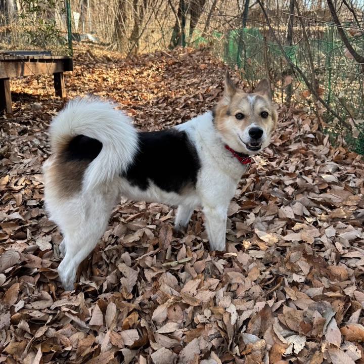 59a83ec6 ea91 43af 98fe 78ccb089d755 1771378681674