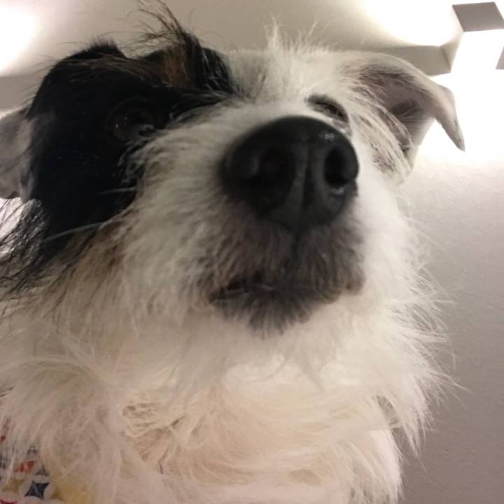 59a8c026 c5aa 4bf1 9eb1 73444423d1ad 1521897785147