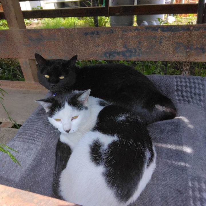 59a8fd40 6ef6 4284 b80e 23c0fbcadc77 1682821067523