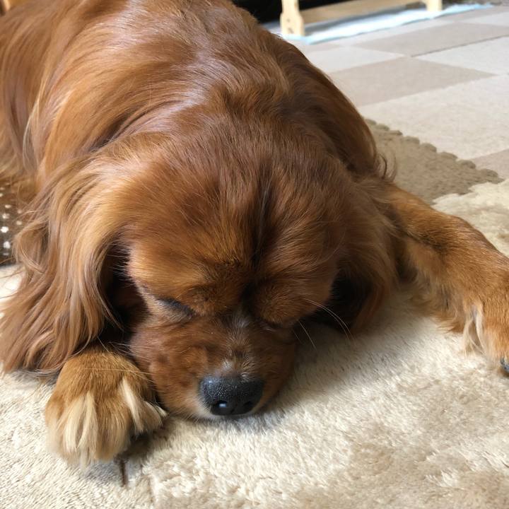 59a937d2 2d4a 4c0a 8b97 c30c13eacd64 1590359293119