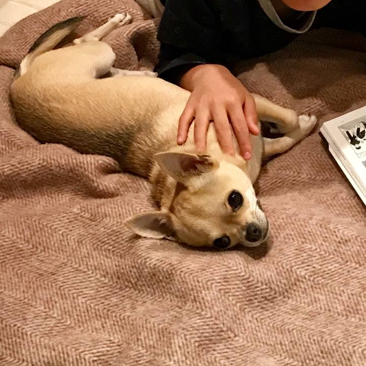 59a93e5b 7bb6 4f39 a222 3375815b2257 1510317363895