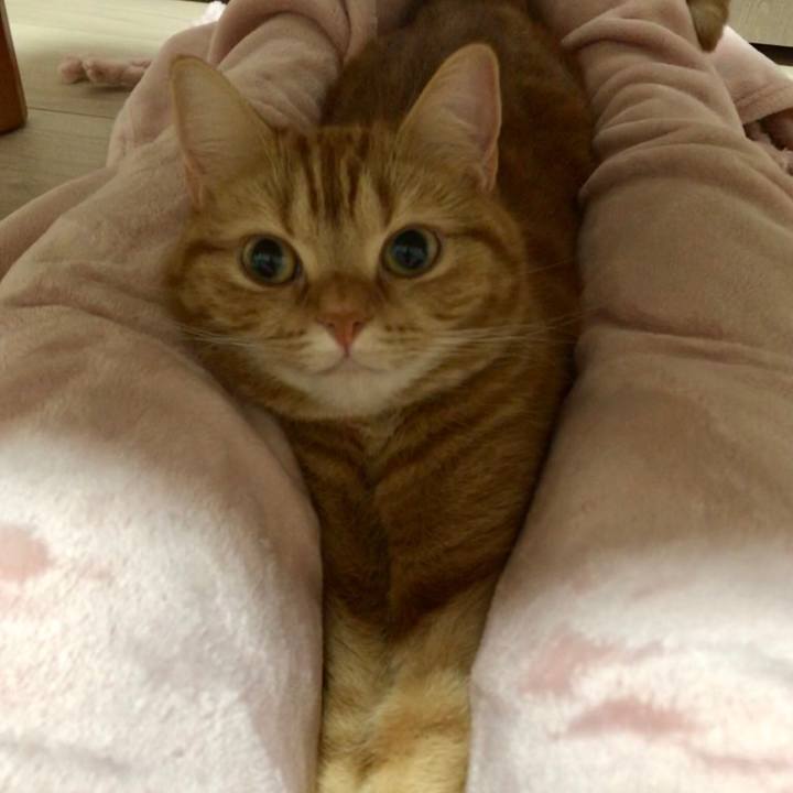 59a96ea5 d932 4924 bc42 706500e12600 1523961557520