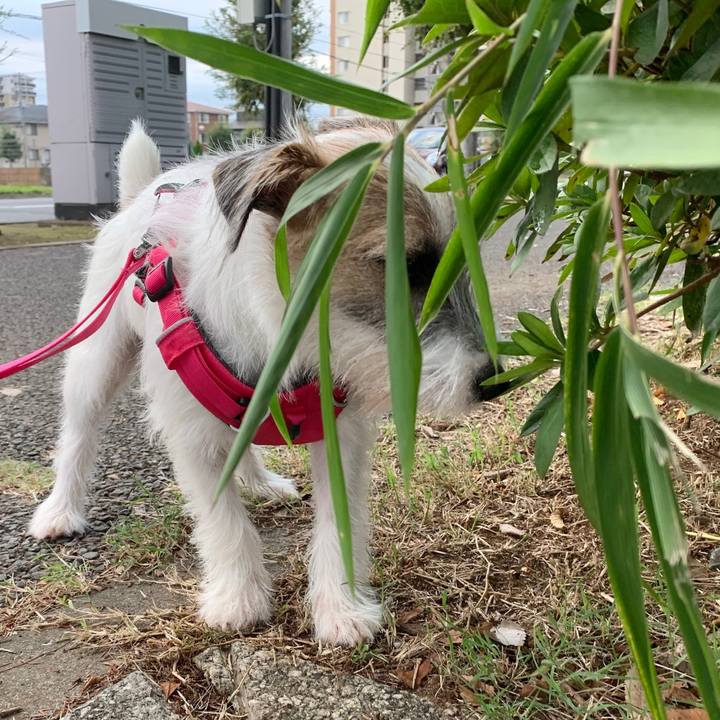 59a97584 6b7d 4890 a230 a0770467d3e1 1571283333417