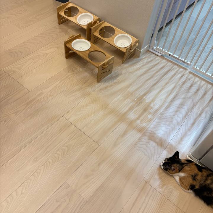 59a9a6fe 05cd 4e3e a6b8 8d7202636f21 1769258377232