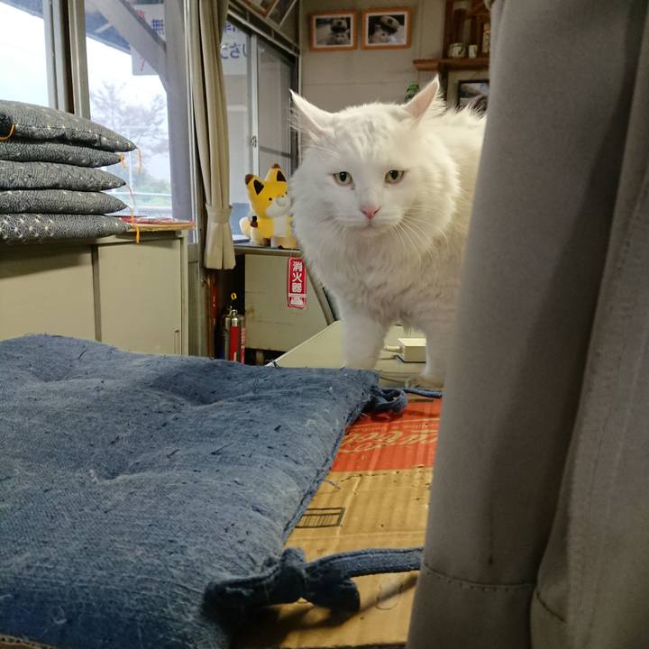 59a9a94c 7e2d 4049 a6ff 491400343b79 1573079355309