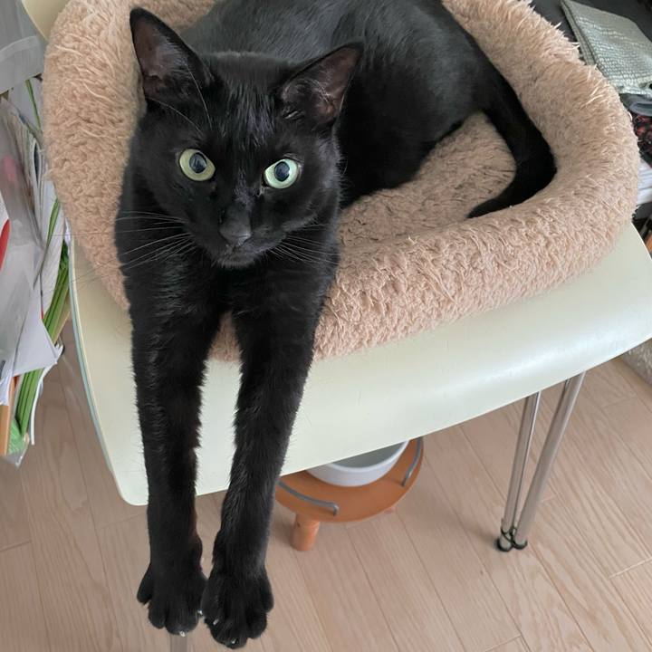 59a9b35b a6c4 4039 a690 b1e580deadc6 1652700701773