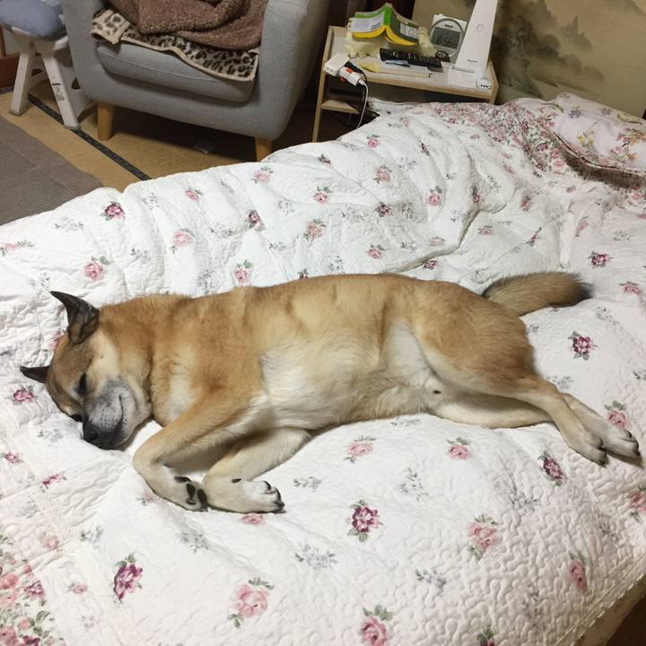 59a9b820 b8c6 4bf9 9473 5a53130fce8c 1583755595875