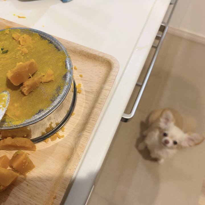 59a9bab1 f545 45d1 9b81 46e168f91119 1728897861118