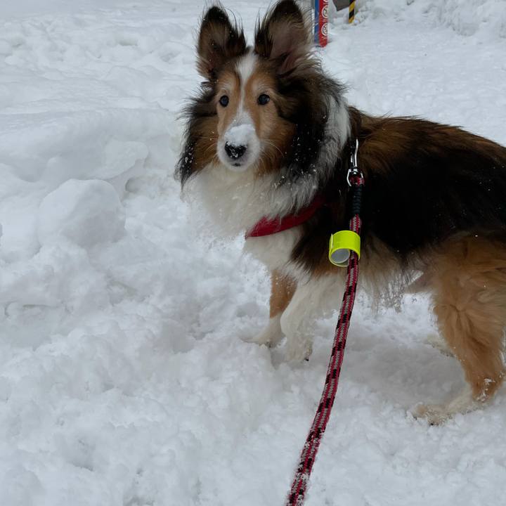 59a9c871 bd8f 48d7 b012 75982e8be032 1612616647031