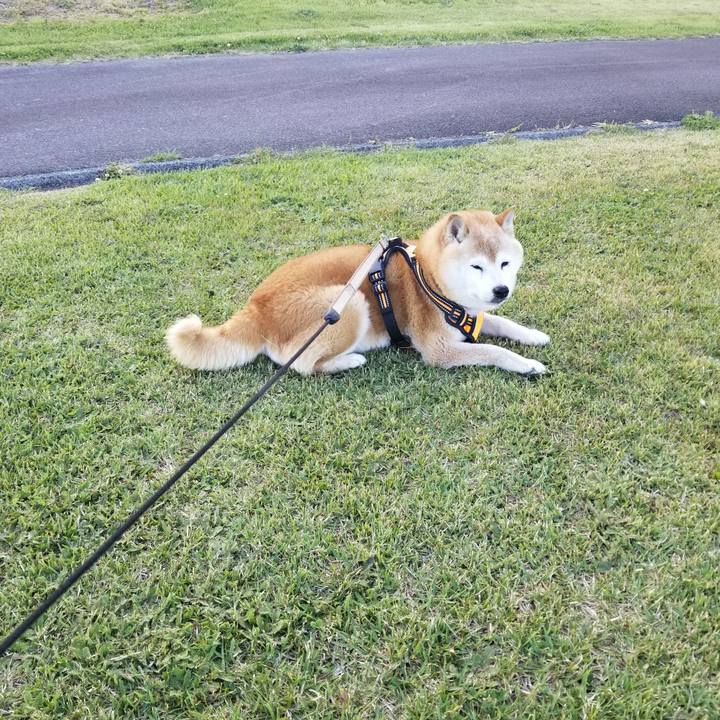 59a9dafa 09c5 497a bf79 5a02a0339dea 1716621925210