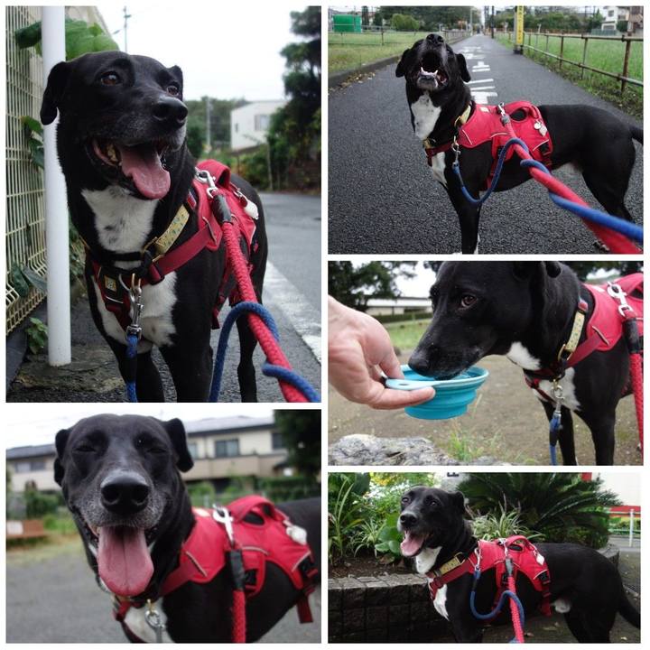 59a9de5f 4631 440c aa03 be7f55128ba1 1630800116450