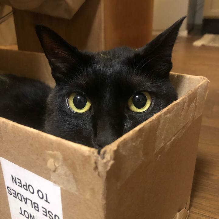 59a9e41b 7114 4ced babf f118e5a0fe13 1609760109432