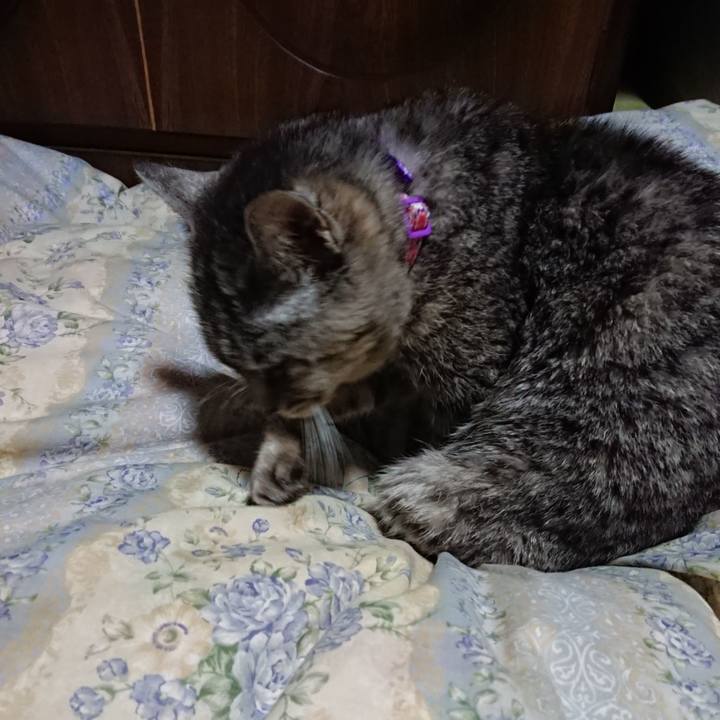 59aa023c eb21 4c07 8a30 a149bc4aafd4 1578829242972