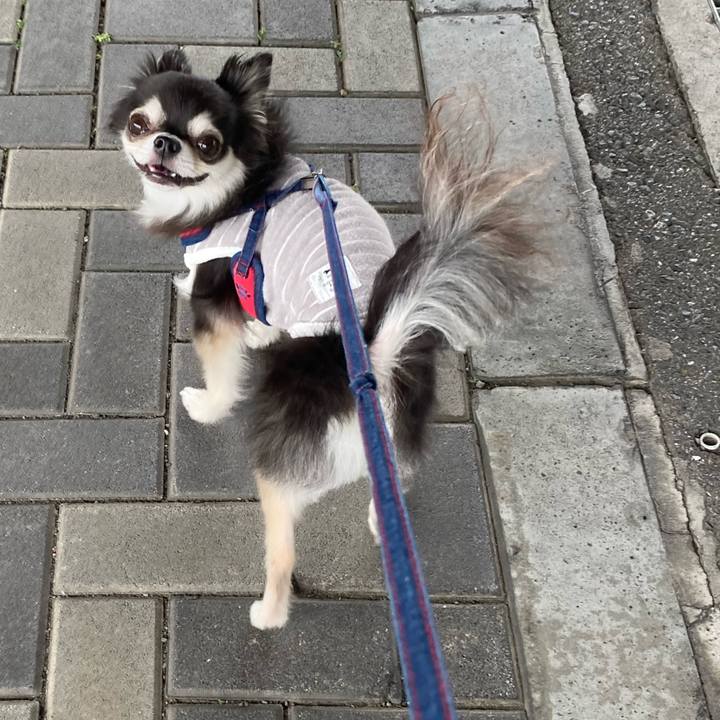 59aa09fd 7ab7 4b90 baf1 78bd8f4c0fd8 1716115502786