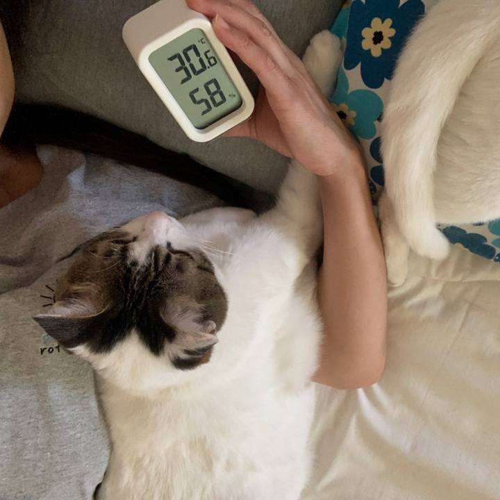 59aa0bdd e737 4e76 8f84 13efbc308131 1658477052523