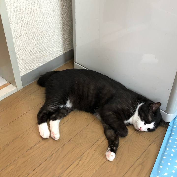 59aa2eb8 c9cb 42ae 8185 78c721d3e402 1564098328686