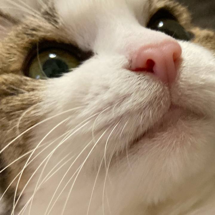 59aa3529 7e28 44df 87c9 e9c42f2c3b2d 1575070240261