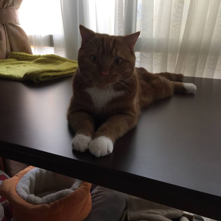 59aa5aad 8b4a 4e4c bec9 abae62c26fe2 1529202499102