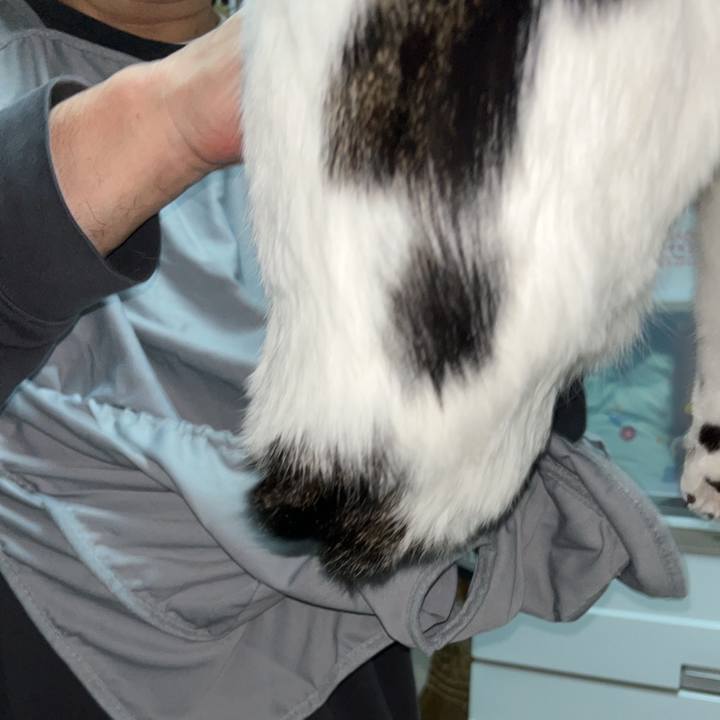 59aa94c8 6771 4322 96ba 32ca716fa12a 1766774098694