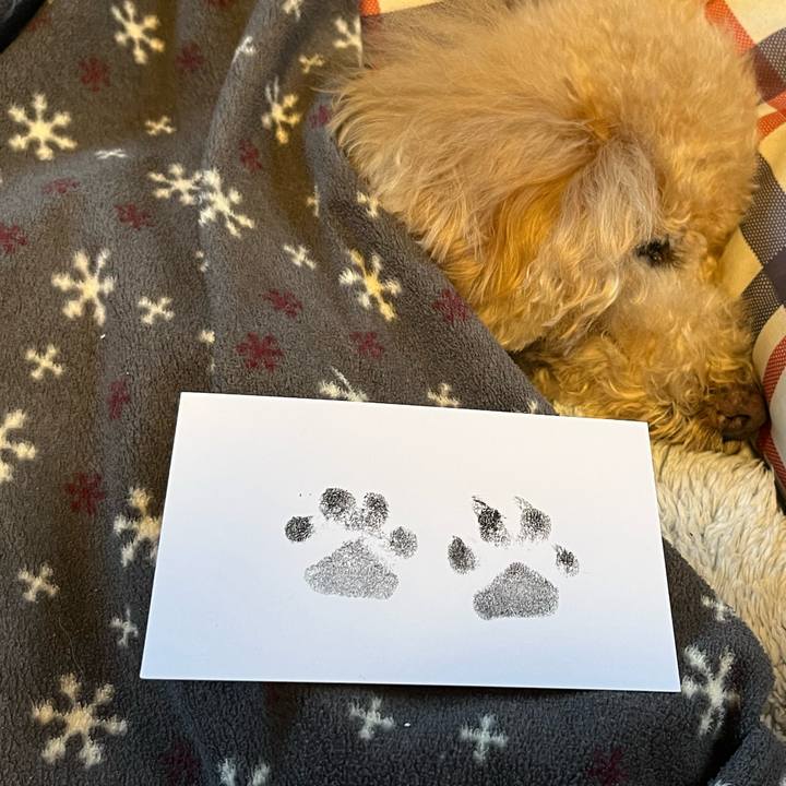 59aa9720 9896 4817 8bda 8093b3233d6e 1768375059182