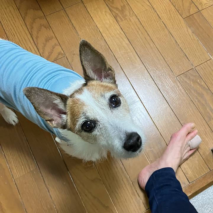 59aabb86 df7f 4fba a693 113e3a15e953 1684970729455